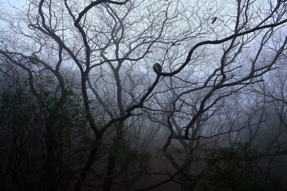 8703photography's tweet image. 