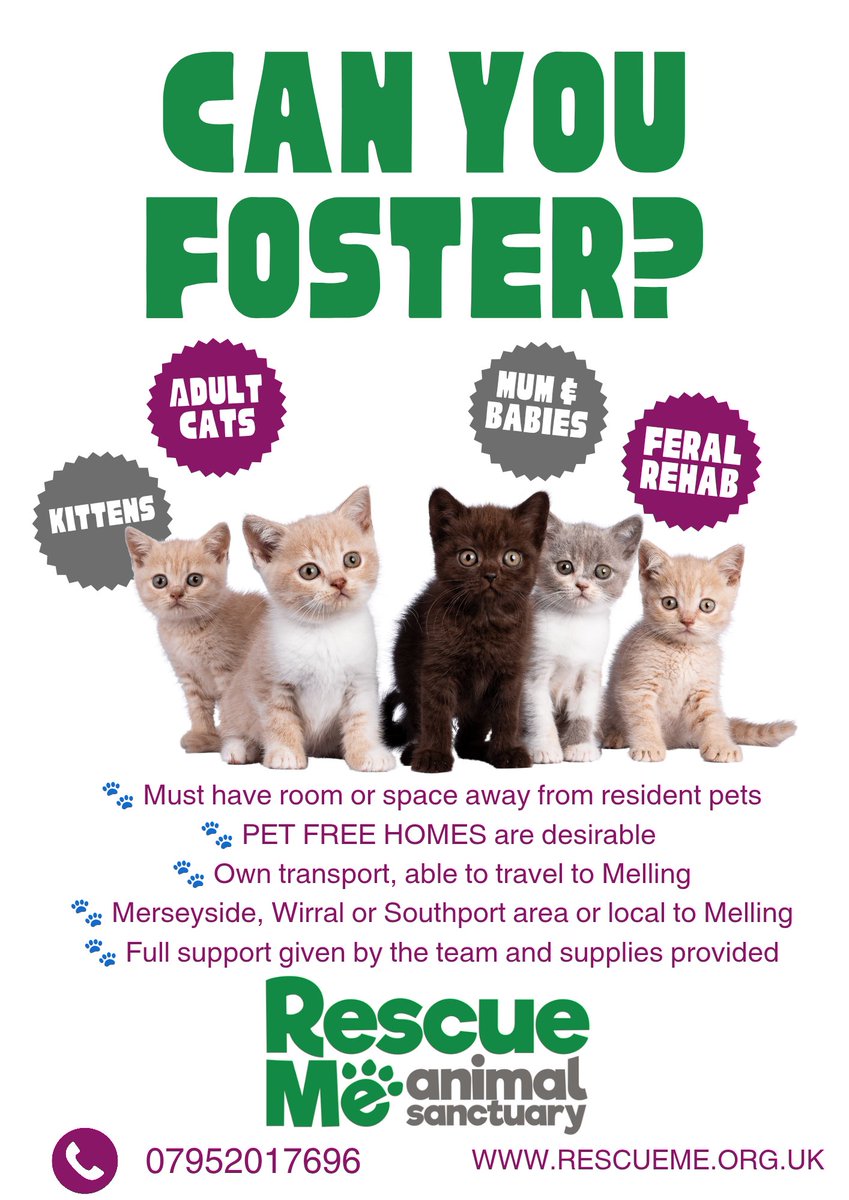 We need more foster homes! We have a huge list of animals waiting to come into our care but without YOU we can't help them. SHARE &amp; get in touch 
#Liverpool #Cat #FostersSaveLives #fosterkittens #Trending rescueme.org.uk/cats-and-kitte…