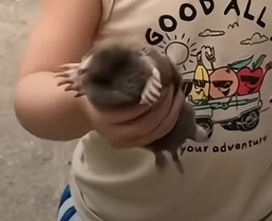 곽티슈 (@octissue) on Twitter photo 