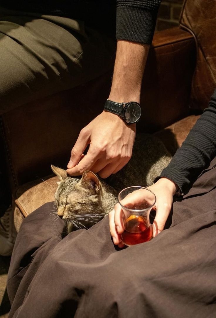 Herkese yabancıyım, nerdesin?