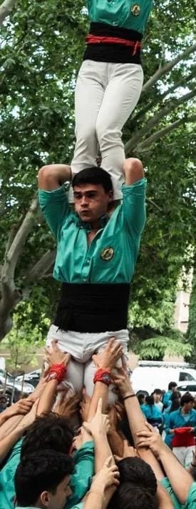 KomiButanu tweet media