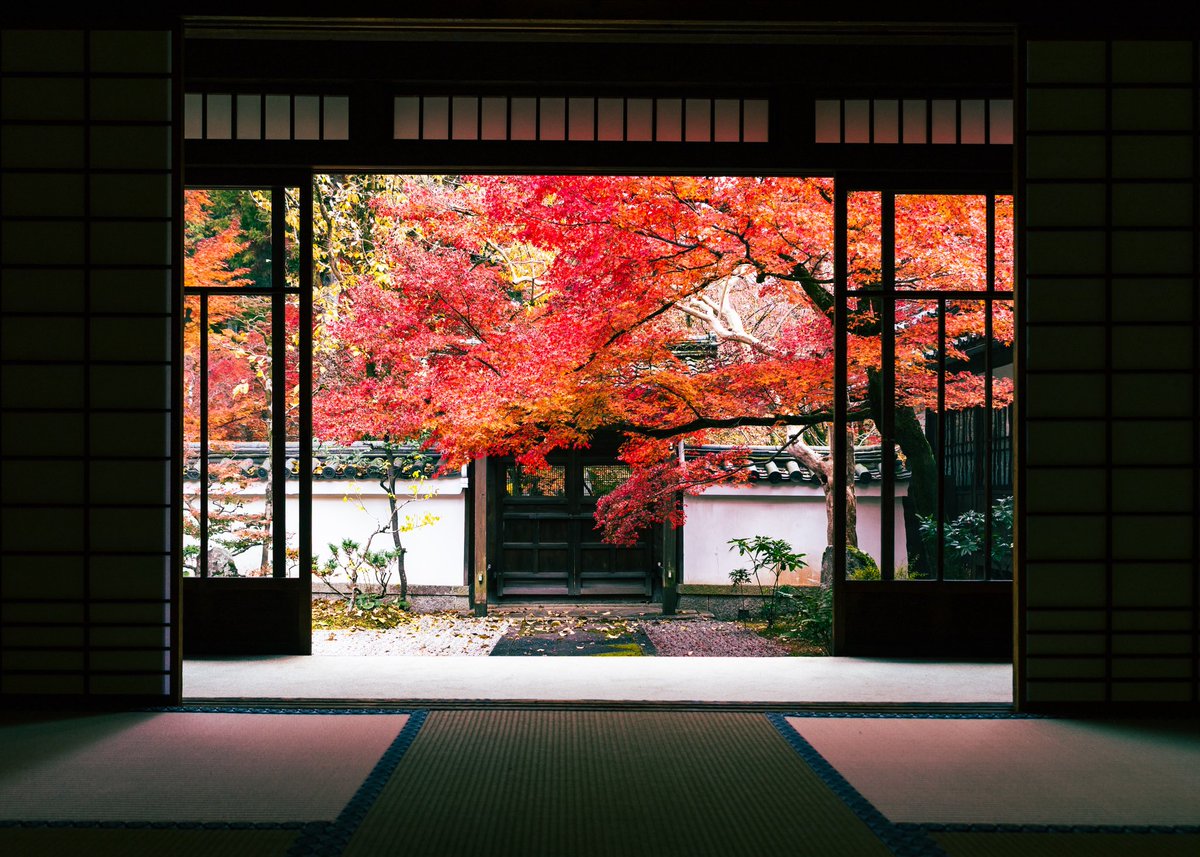 京都 真如堂
#写真好きな人と繫がりたい 
#写真撮ってる人と繫がりたい 
#京都好きな人と繋がりたい 
#京都 #京都の風景 
#京都の四季 #京都の秋
#京都よきかな
#京都の紅葉