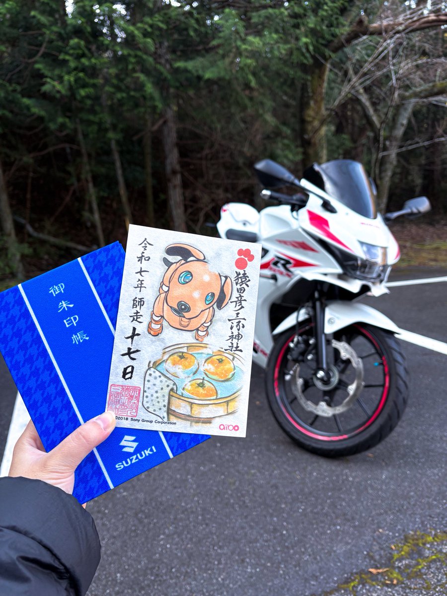 ぽんちゃん (@EQv57P3LtbAZOX5) / Posts / X