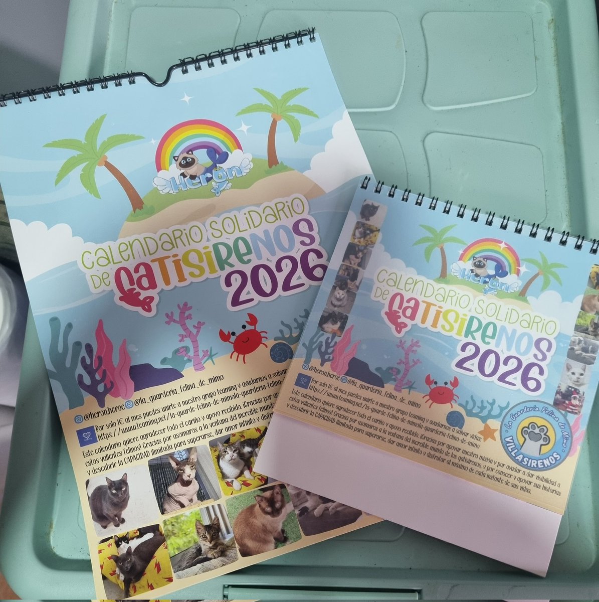 Guarde Felina De Mimo-Villasirenos tweet media