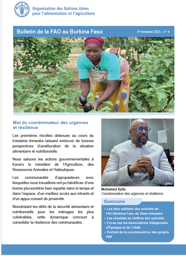 FAOBurkinaFaso's tweet image. 📰Nouveau bulletin d’information disponible !
Retrouvez les dernières actualités de @FAOBurkinaFaso 
 
openknowledge.fao.org/handle/20.500.…
