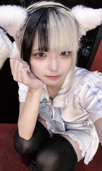 猫耳コンカフェC4のツイート