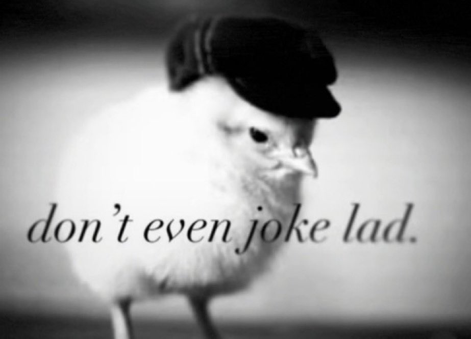 GraphicTrash 🏴󠁧󠁢󠁷󠁬󠁳󠁿 tweet media