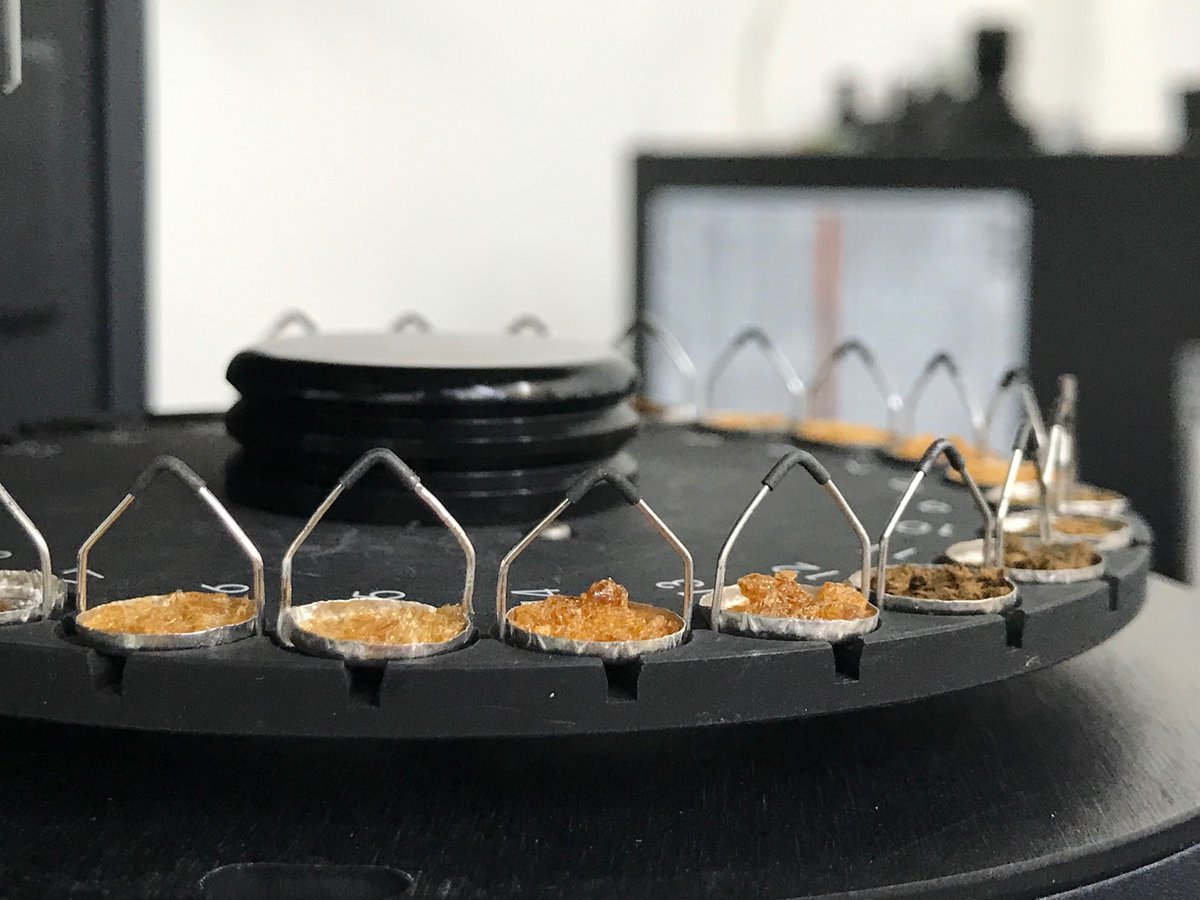 IATA CSIC tweet media