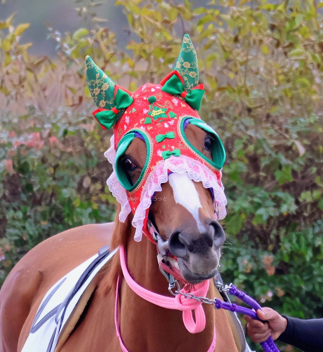 的場文男 (@fumio230uma) / Posts / X