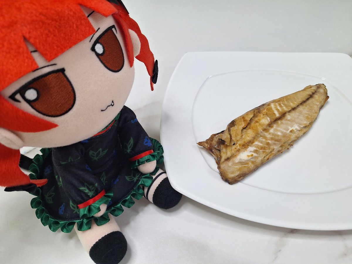 #fumofumo #fumo #ふもふも
Orin