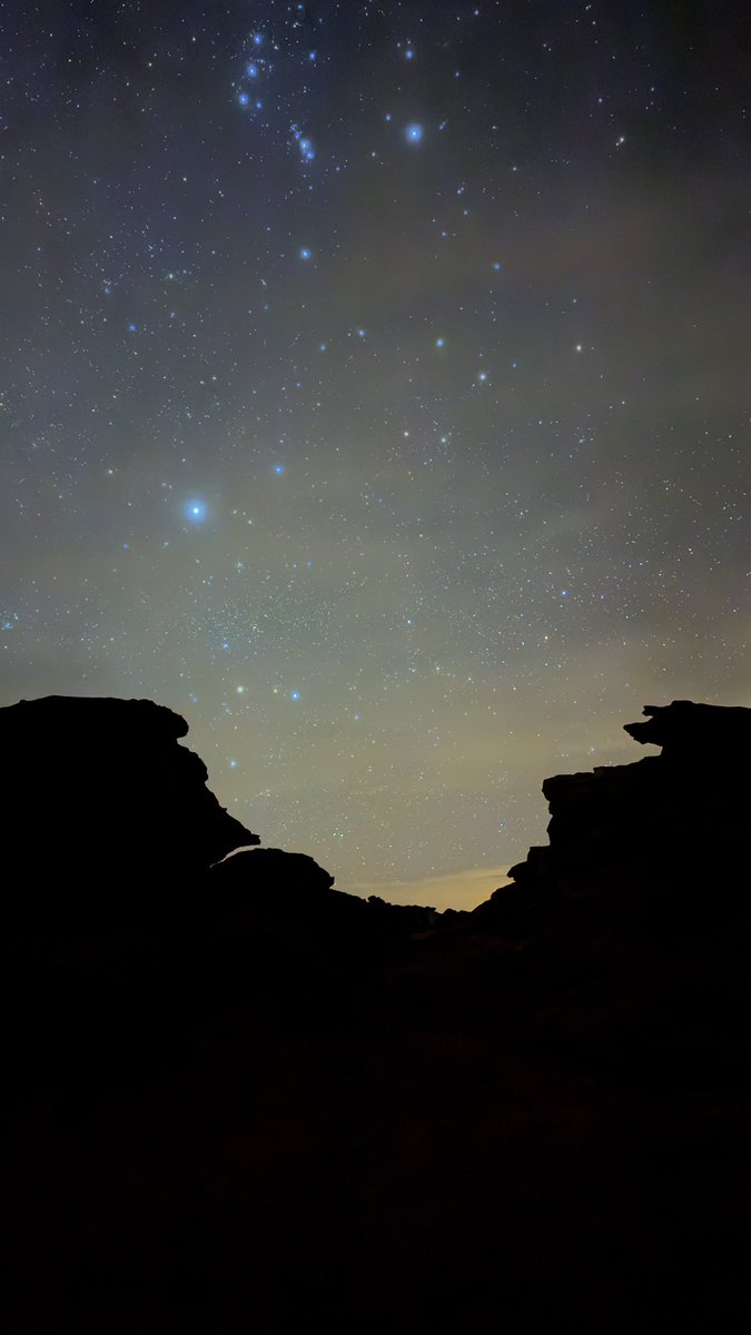 pluddypunk's tweet image. النوم تحت النجوم 🌌