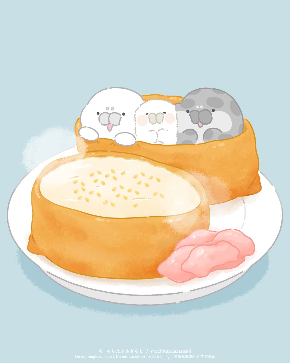 もちたぷあざらし🏝🦭 (@mochitapu) / Posts / X