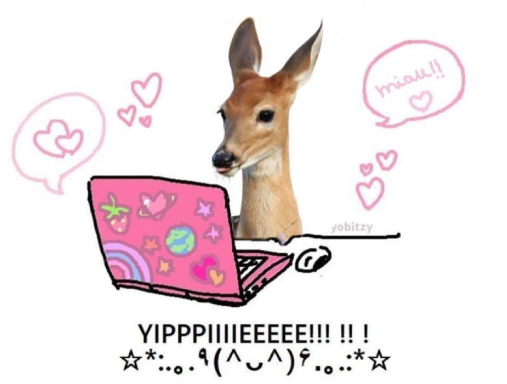 EXStaticTV's tweet image. high school best friend is coming back to town next week and i’m so excited to catch up with her bro we have SO much to discuss