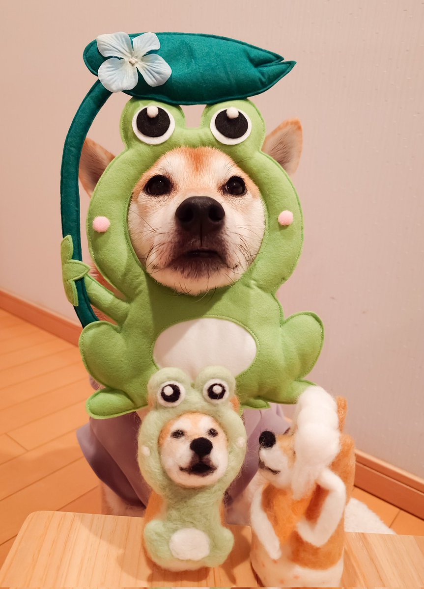 (oΘωΘo)「ぼくたちお酒は飲めないケロ〜🍺👐💦」
(ΘωΘ)「ゲコゲコってね🎶🤣🤣」
素のテンションで飲み会で盛り上がれちゃうタイプのケロヤン1号🐸と2号🐸が21時をお知らせします🔔
一番柴り🍺ちゃん、絡み酒はやめなさい🐸🐸(´Д`//🍺)ヾ(・д・｀)💦
#お知らせ小さいお母ちゃん
#ましバニアファミリー