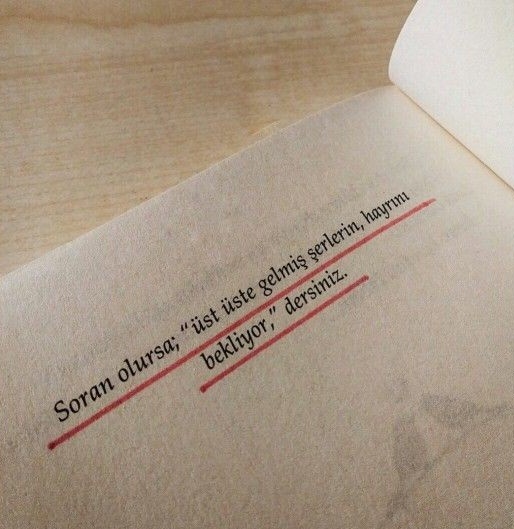 Monna Rosa (@ayaserenat) on Twitter photo 