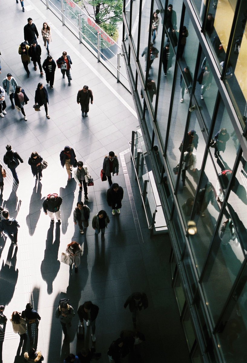 みしぇる。 (@ahiru_puka) on Twitter photo 