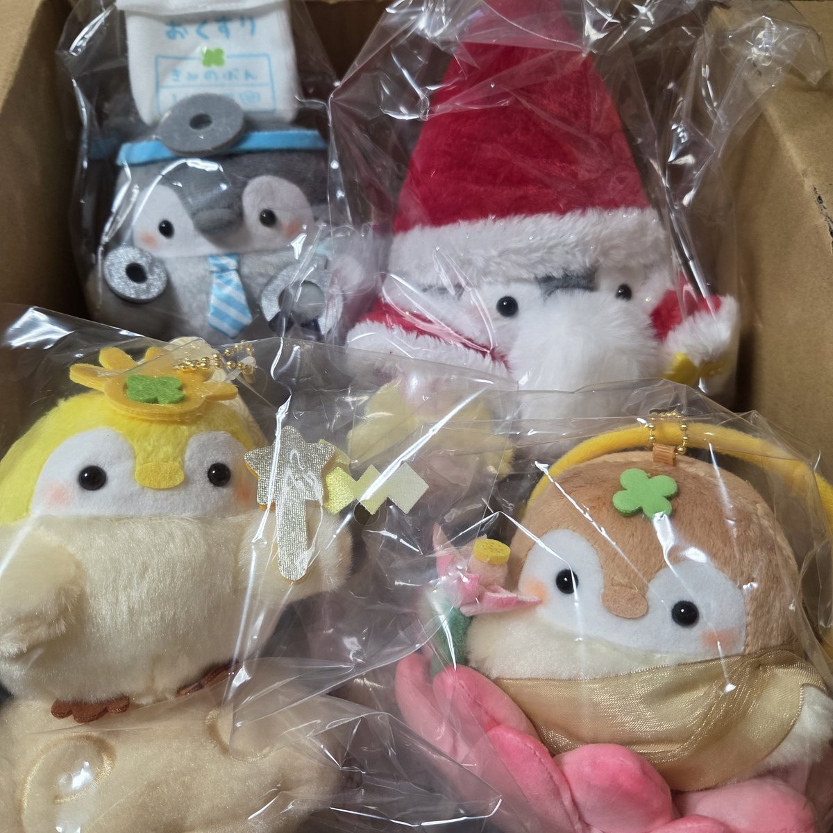 いらっしゃい～(*´ω｀*)🐧🐧🐧🐧✨