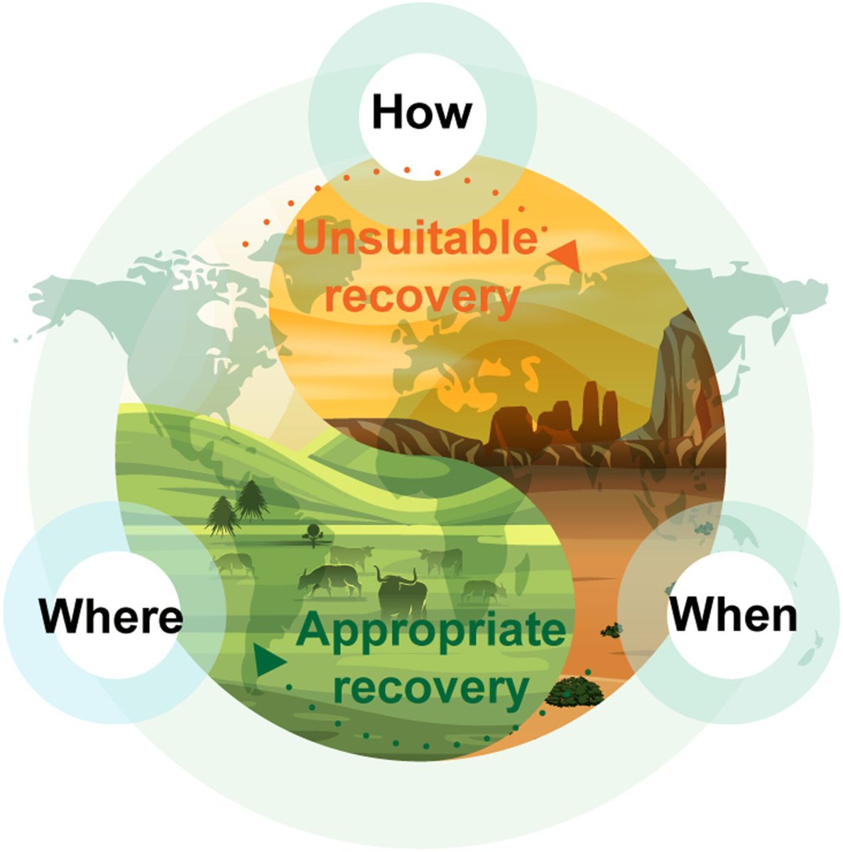 JAppliedEcology's tweet image. 📖Published!

Grassland restoration is crucial for biodiversity conservation and ecosystem function. Our work provides scientific insights into the key factors influencing effectiveness and specific optimal strategies for different biomes🌿🌱  

Read here:buff.ly/LQeJaa5