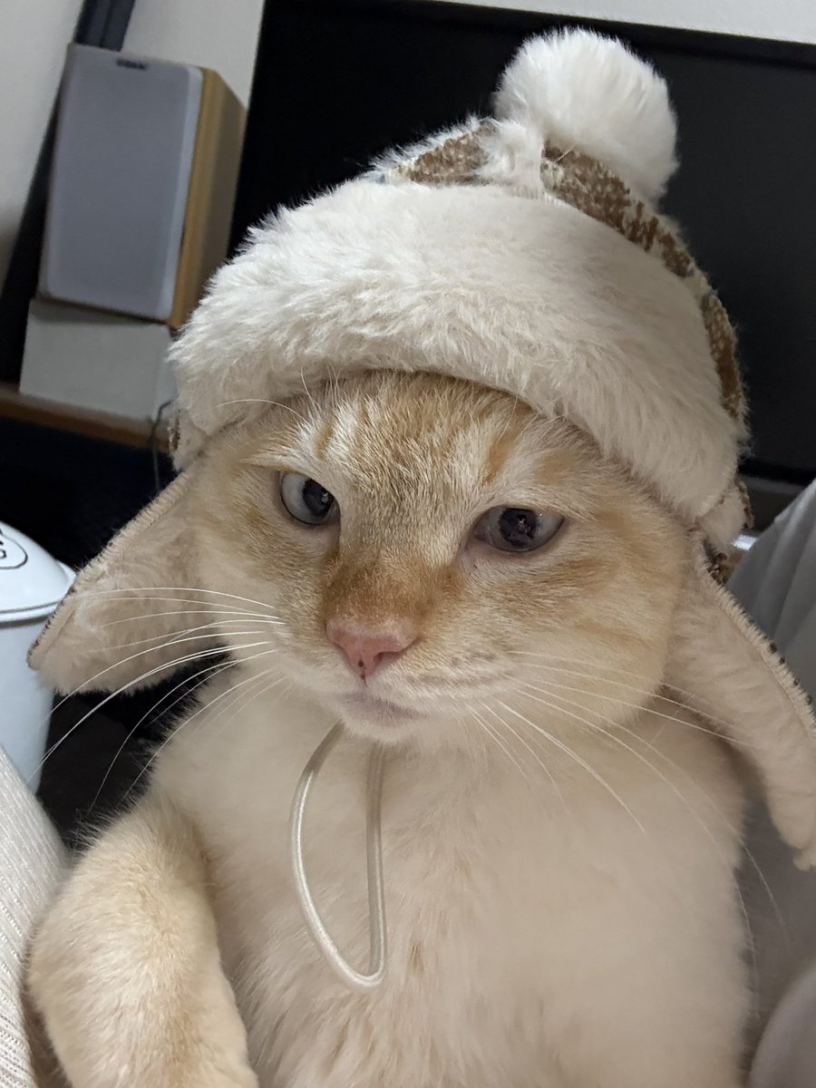 さっちゃん (@toshiakisan1127) / Posts / X