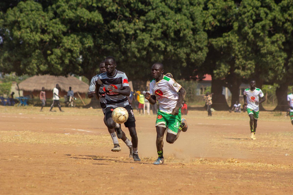 Shea Nut & Natural Oils Conservation Limited tweet media