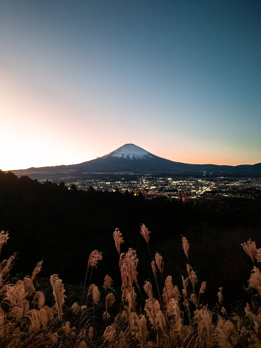 インプ@多忙のため低浮上中 tweet media