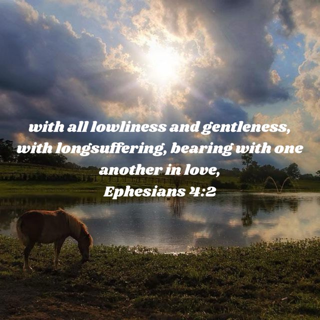 Jsano97's tweet image. 