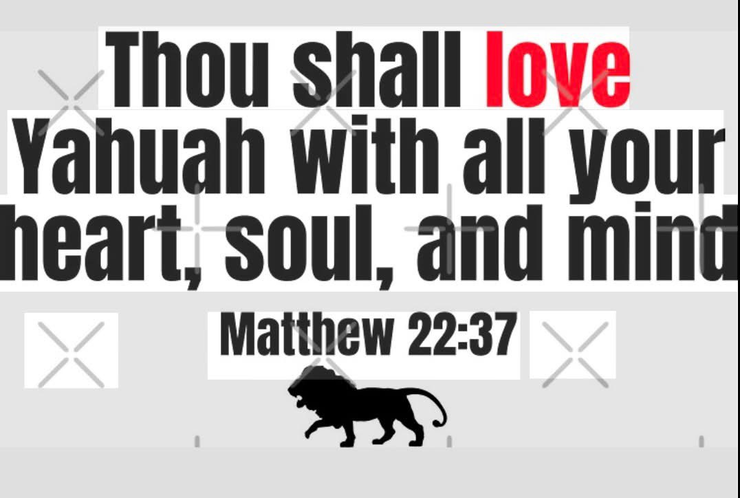 𐤒𐤃𐤔 מירקו tweet media