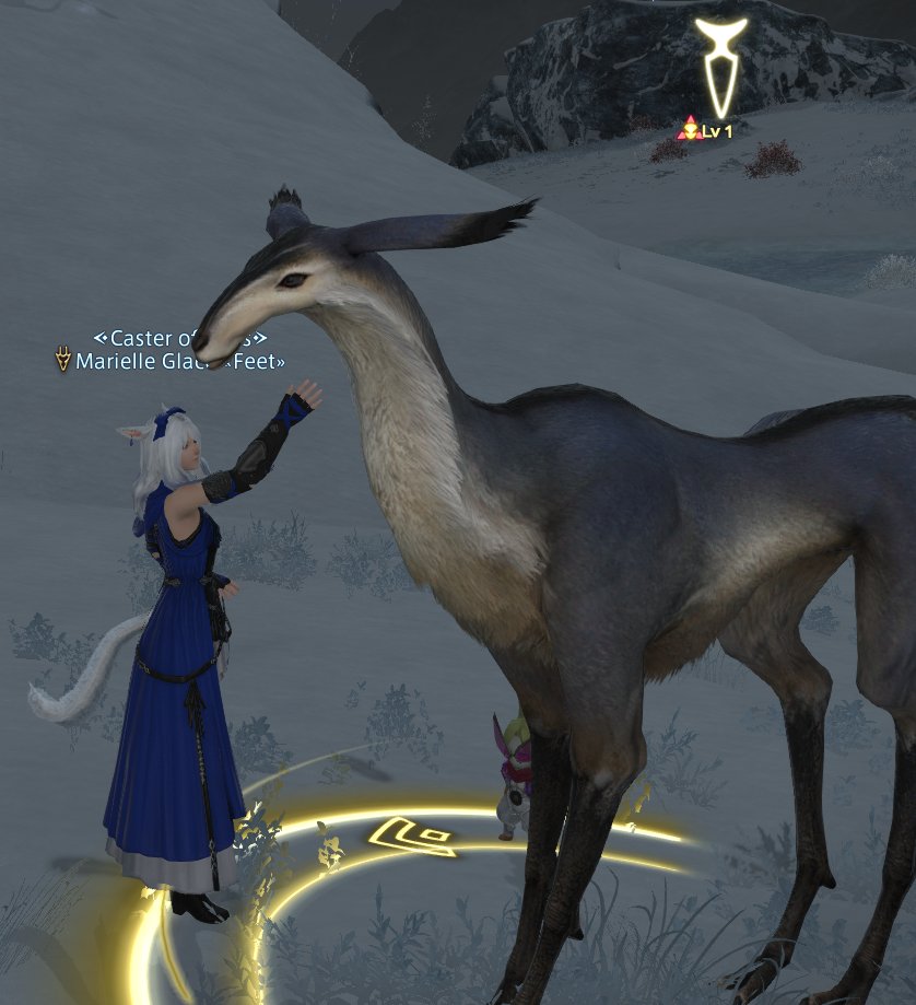 met a celebrity this morning