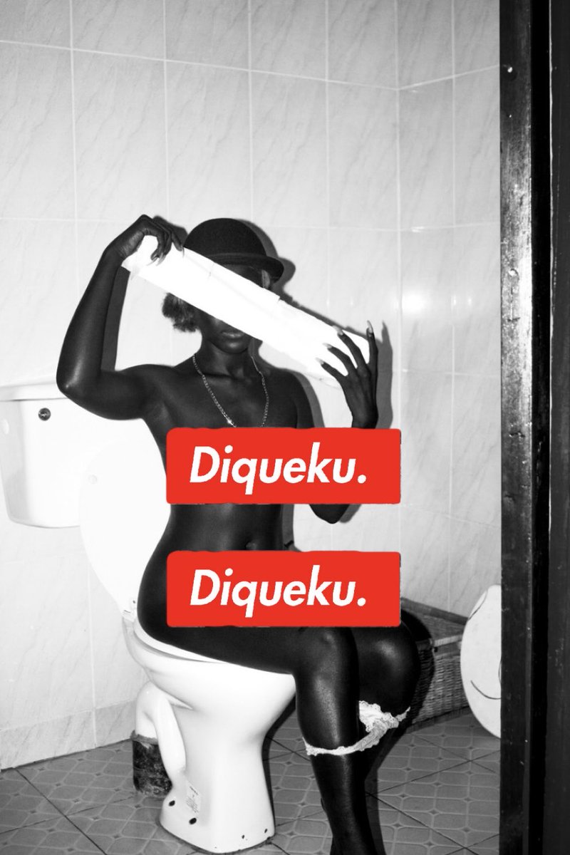 Bathroom diary