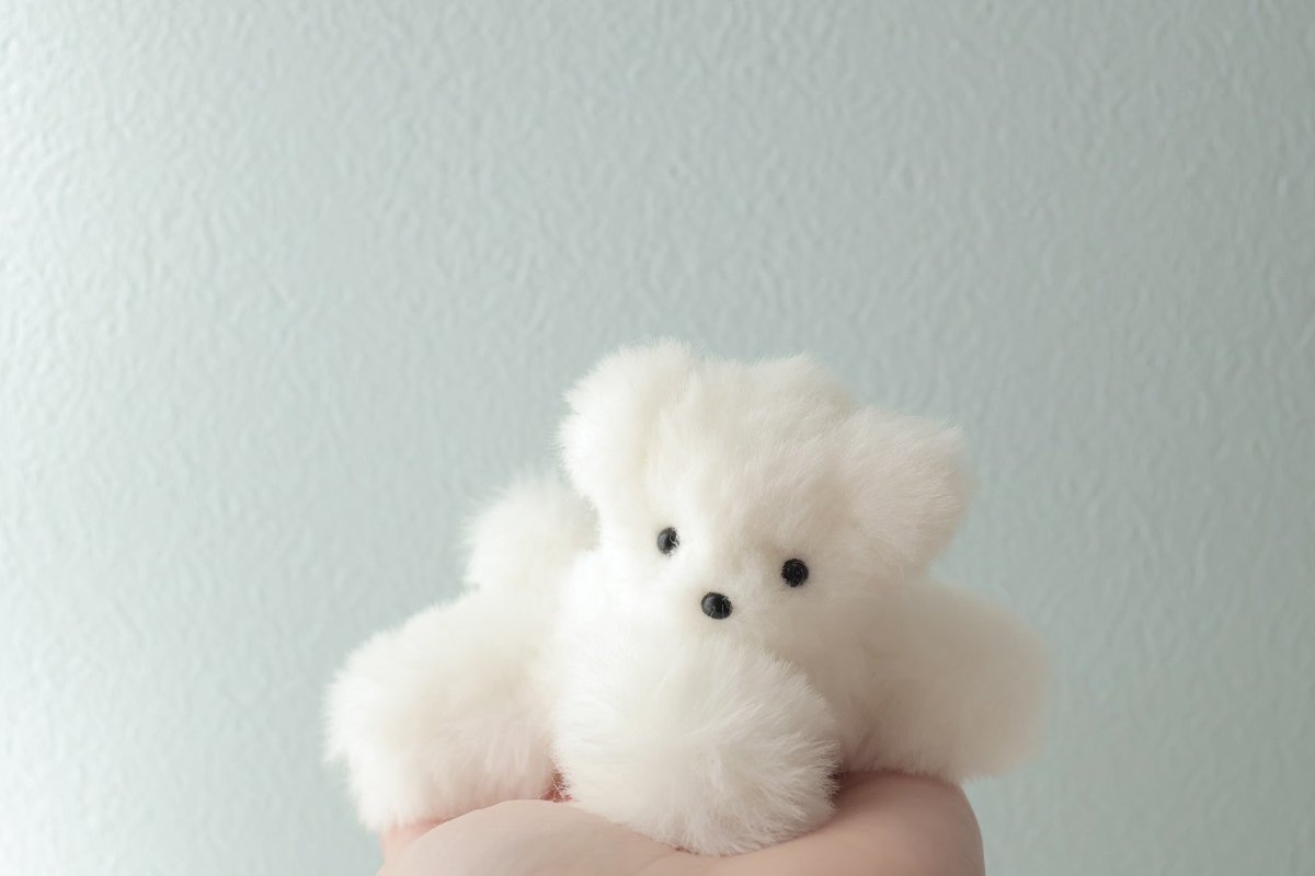 ほわほわ幸せ〜🤍🐾