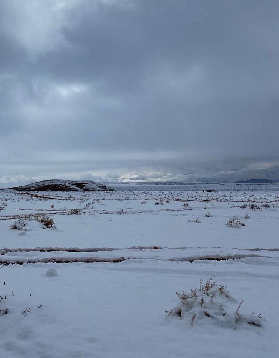 سعوديتنا ثلّجتت