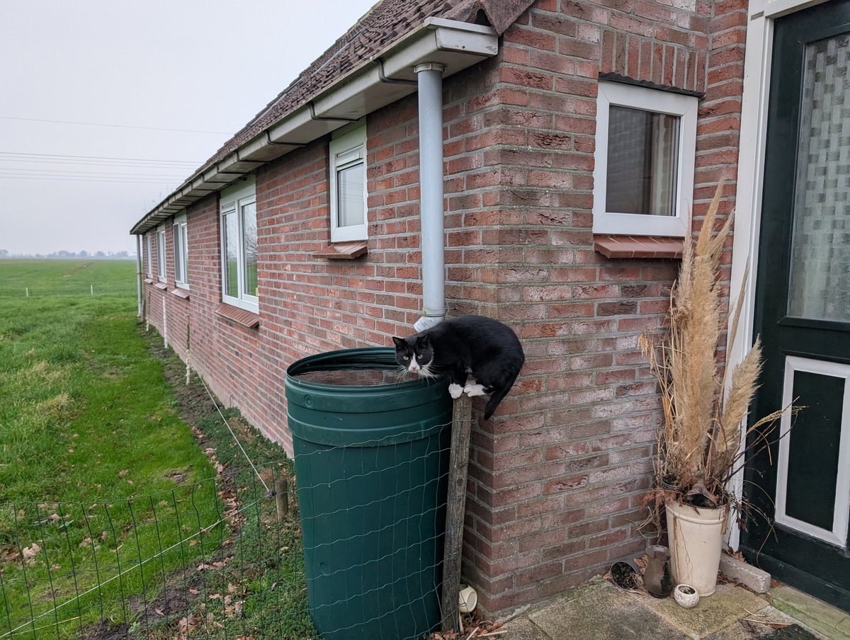 Did a thing, bought a house! (Inclusief boerderijkat)