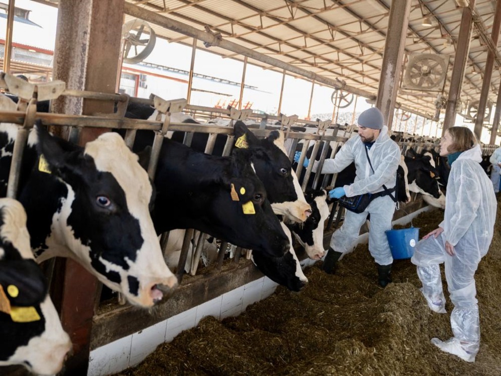 Refuerzan la prevención de la DNC con una nueva campaña de vacunación en Boltaña, Jaca y Sabiñánigo sobrarbedigital.com/refuerzan-la-p… a través de <a href="/SobrarbeDigital/">Sobrarbe Digital</a>