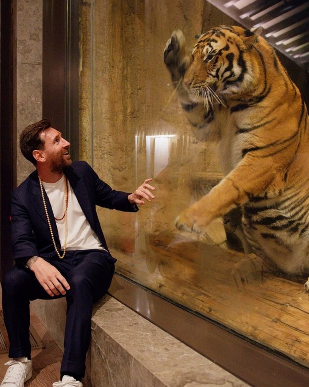 النجم الأرجنتيني ليونيل ميسي يختتم زيارته إلى الهند بجولة مميزة في مركز "فانتارا" لإنقاذ وتأهيل الحياة البرية 