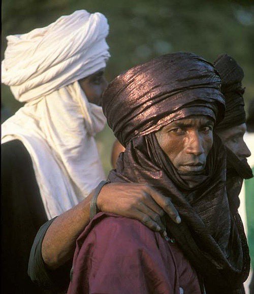 Halal Nation ☪︎ tweet media