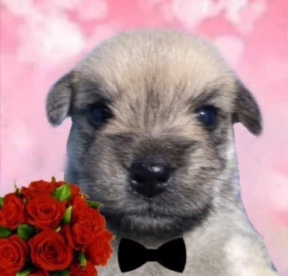 만족도★★★★★