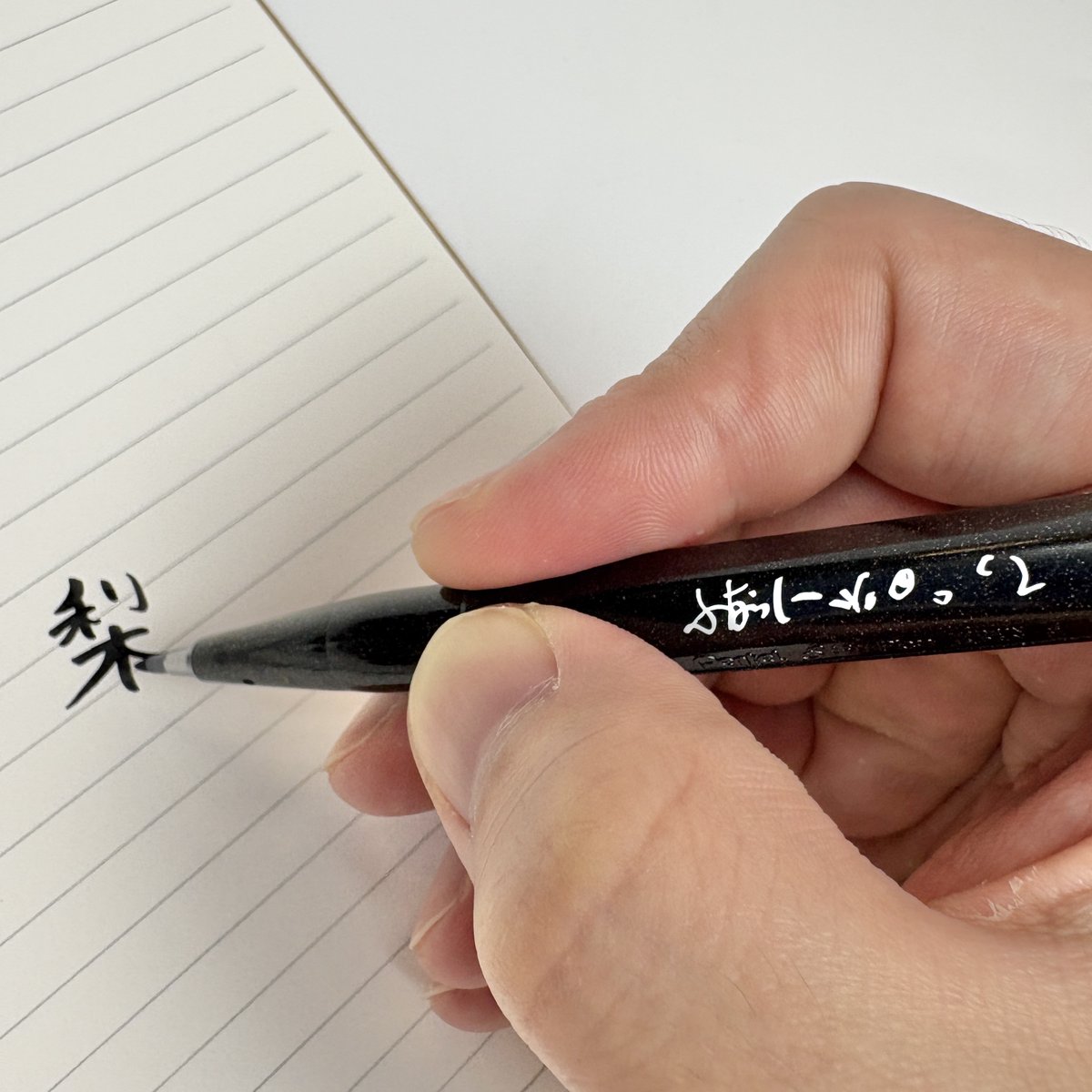 ☆特級呪霊みぃちゃん 前世→(。゜▽゜)シラミ💙 (@mii_funa0705