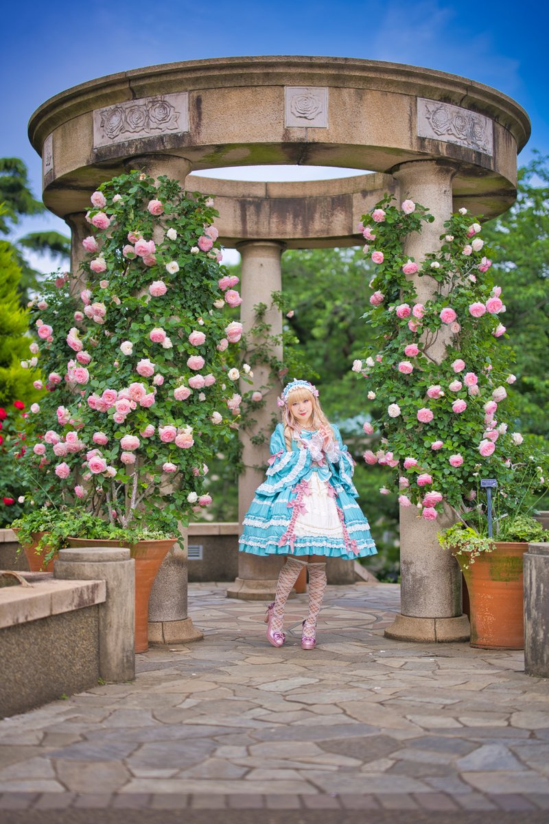 薔薇の奇跡が咲く聖域 8 - The Sanctuary Where the Rose Miracle