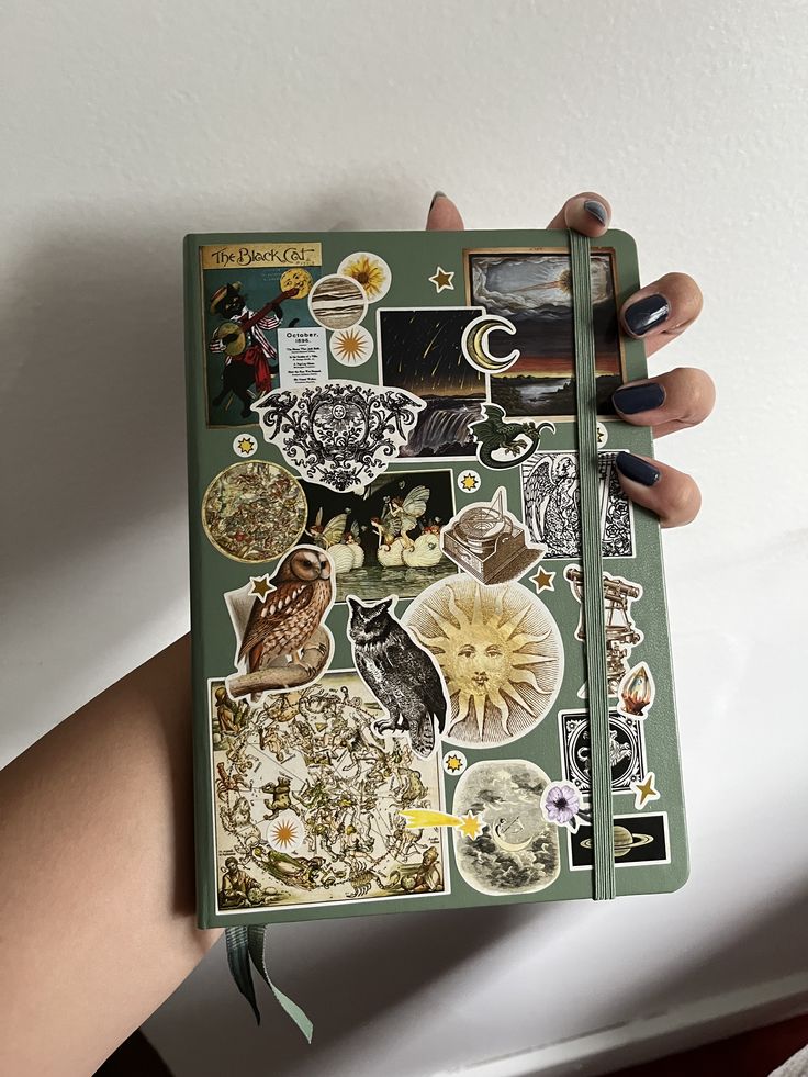 solukayna's tweet image. 