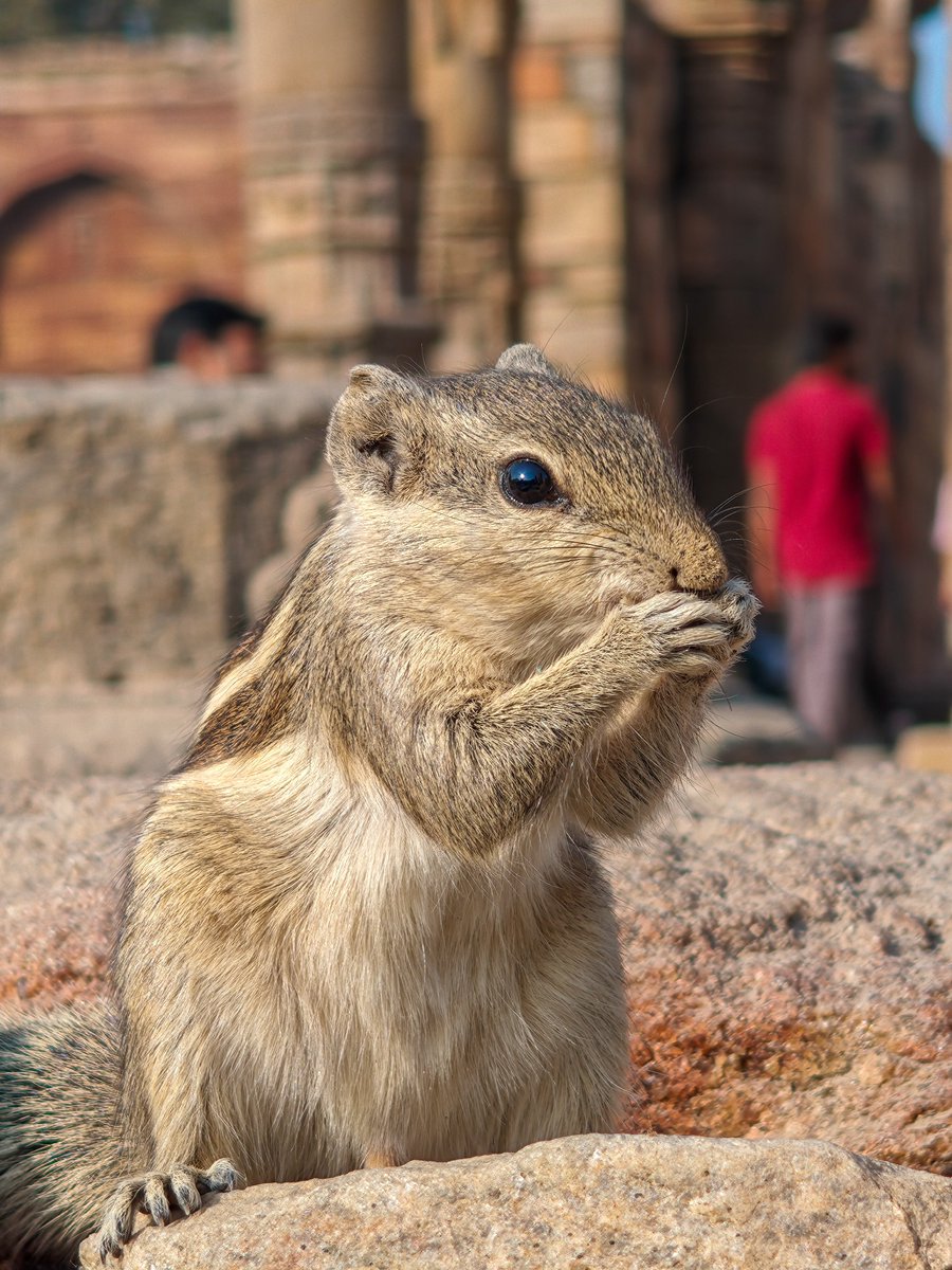 Pushpendra Kumar tweet media