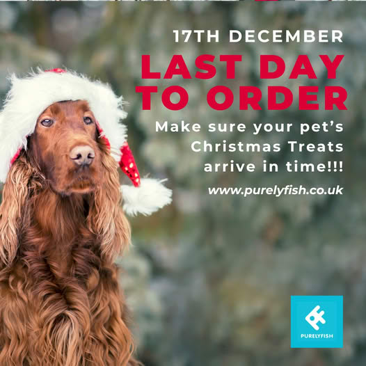 Purely Fish tweet media