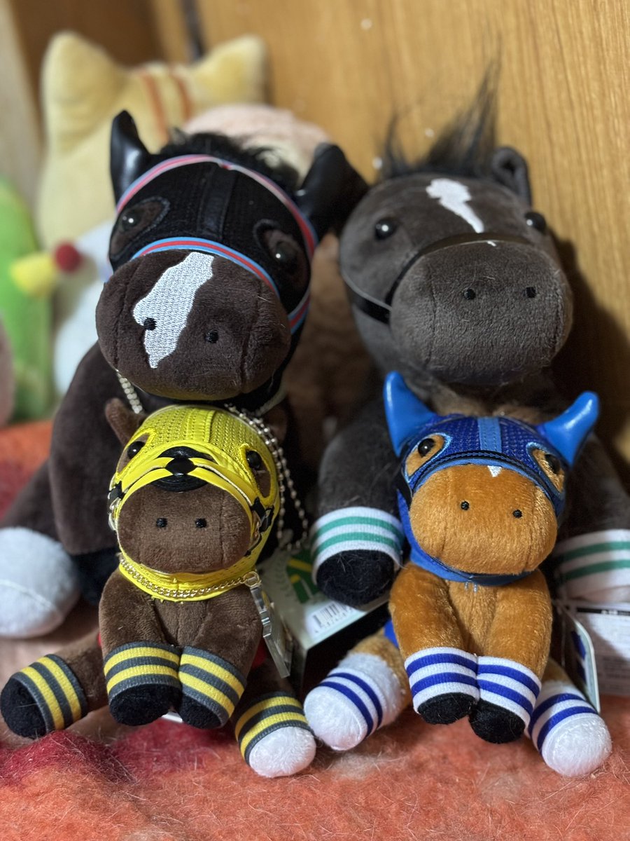 ダイワスカーレットのアイドルホースお迎えに行っただけなのに