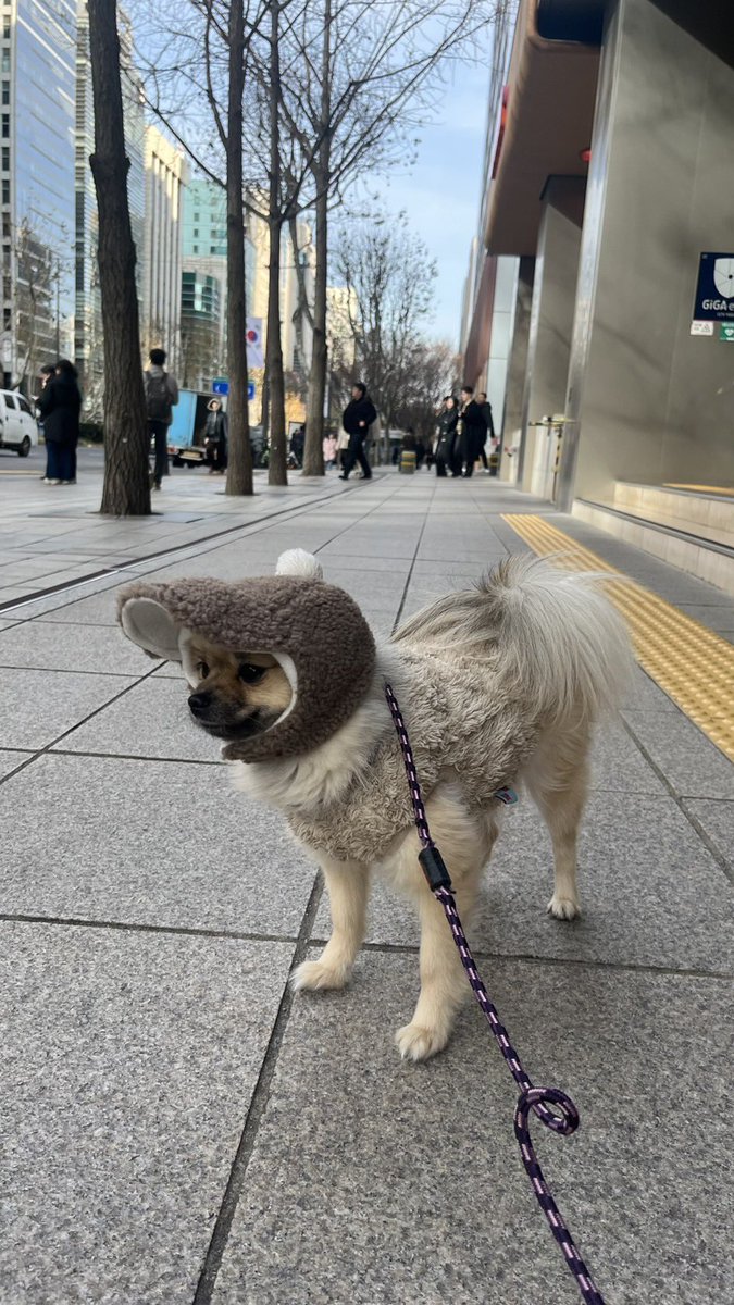 RC_Rim's tweet photo. 구리🐶 https://t.co/DOO9bCBsmR
