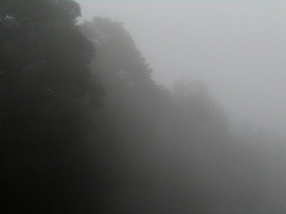 PNW Angler (@pnwflyangler) on Twitter photo 