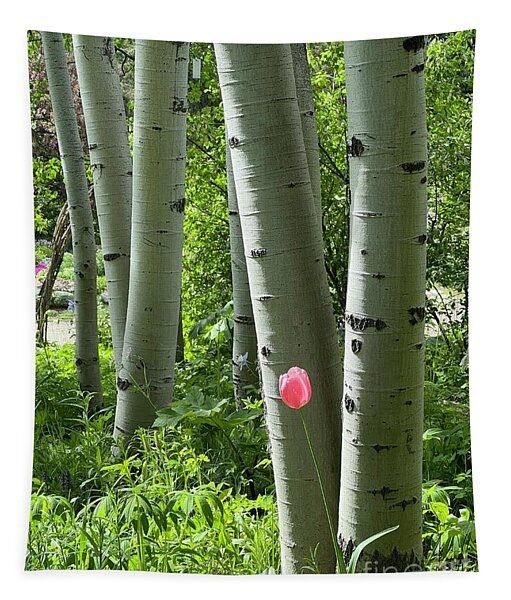 erinmdorffette's tweet image. A #tapestry or #tapestries for your #wallart is a simple and fun way to get your #walldecor #usaphotographers

faa.savingmemoriesbymakingmemories.com/featured/the-s…

#usaphotographer