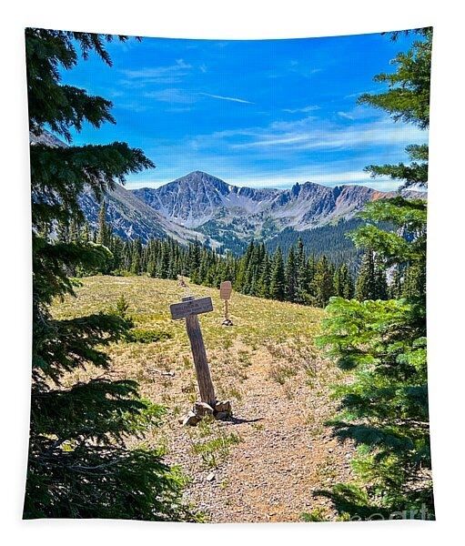 erinmdorffette's tweet image. A #tapestry or #tapestries for your #wallart is a simple and fun way to get your #walldecor #usaphotographers

faa.savingmemoriesbymakingmemories.com/featured/the-s…

#usaphotographer