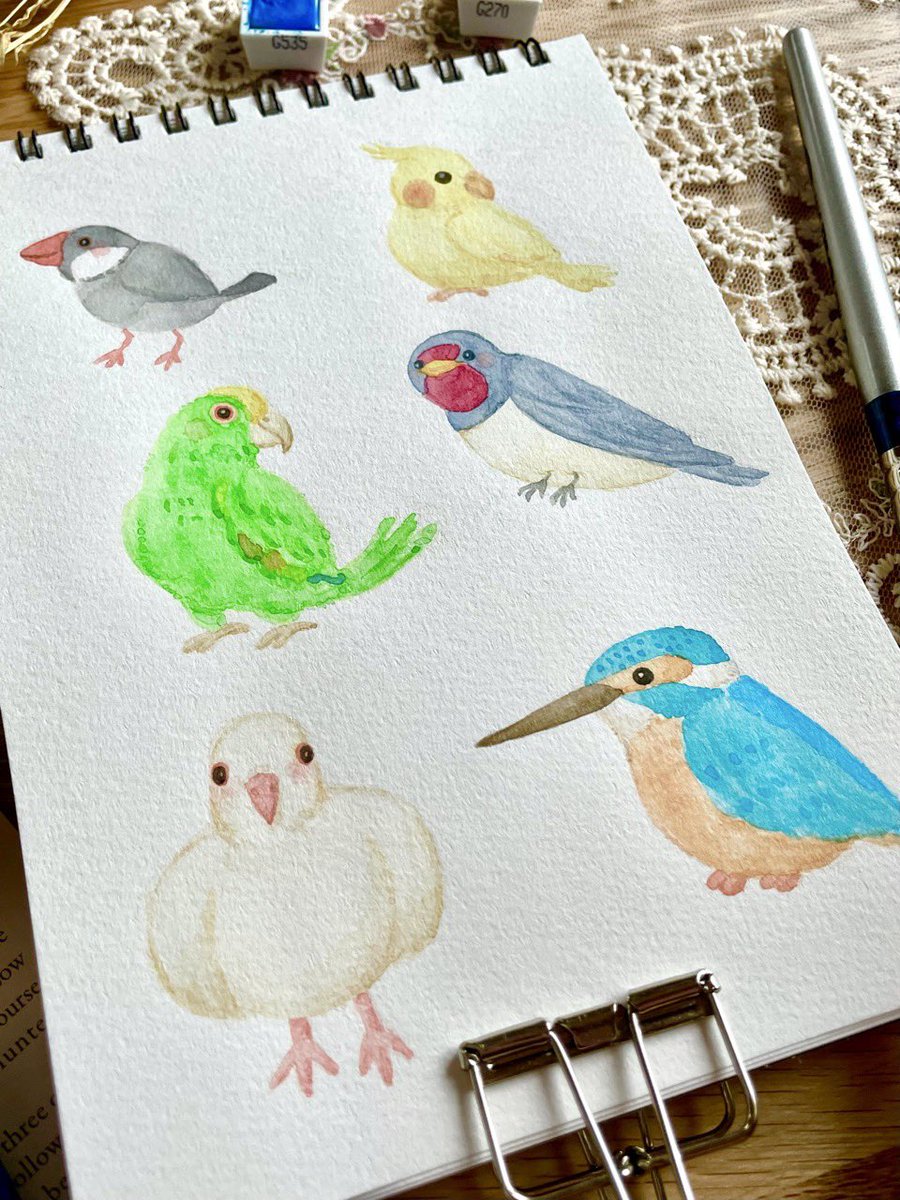 先月の朝活で描いた水彩鳥さんたち✍️🦜✨

#水彩イラスト