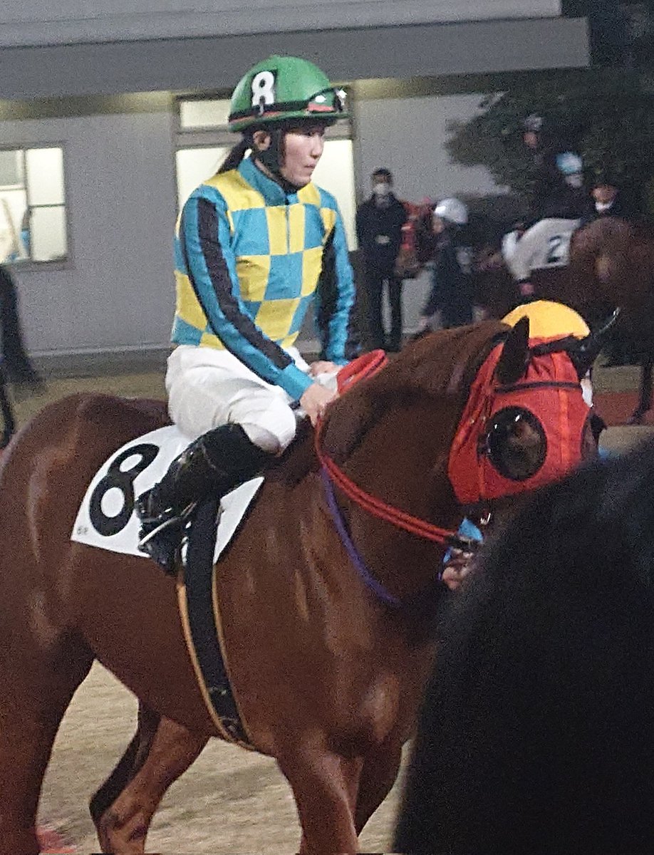 まあくん (@NMARKUN11) / Posts / X