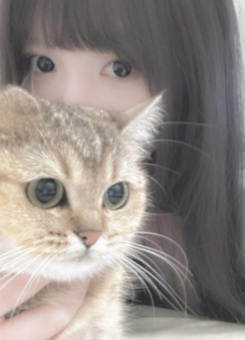 たこ焼きデートしよー