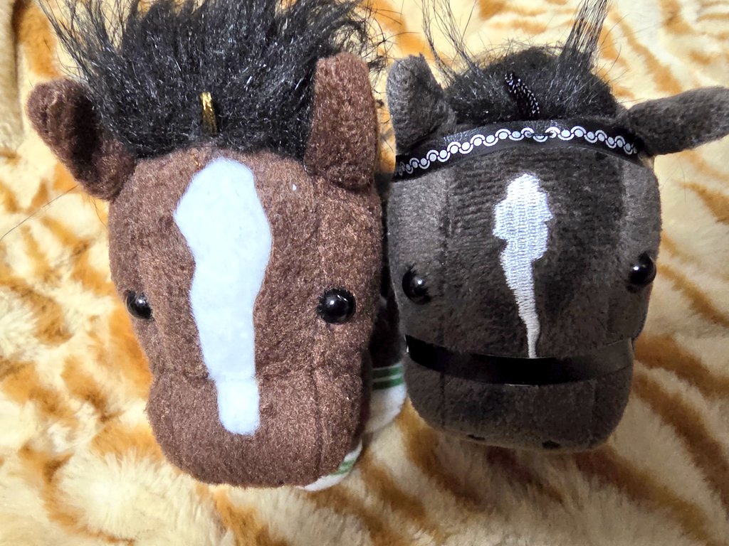 ウオッカのアイドルホース随分と一新したなぁ 流星も毛色も肢巻も全部